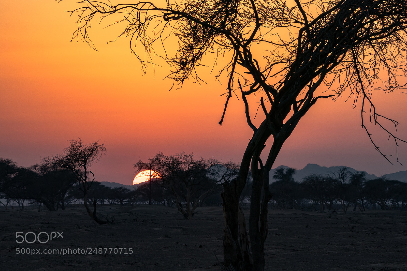 Sony a9 sample photo. Desert sunset photography