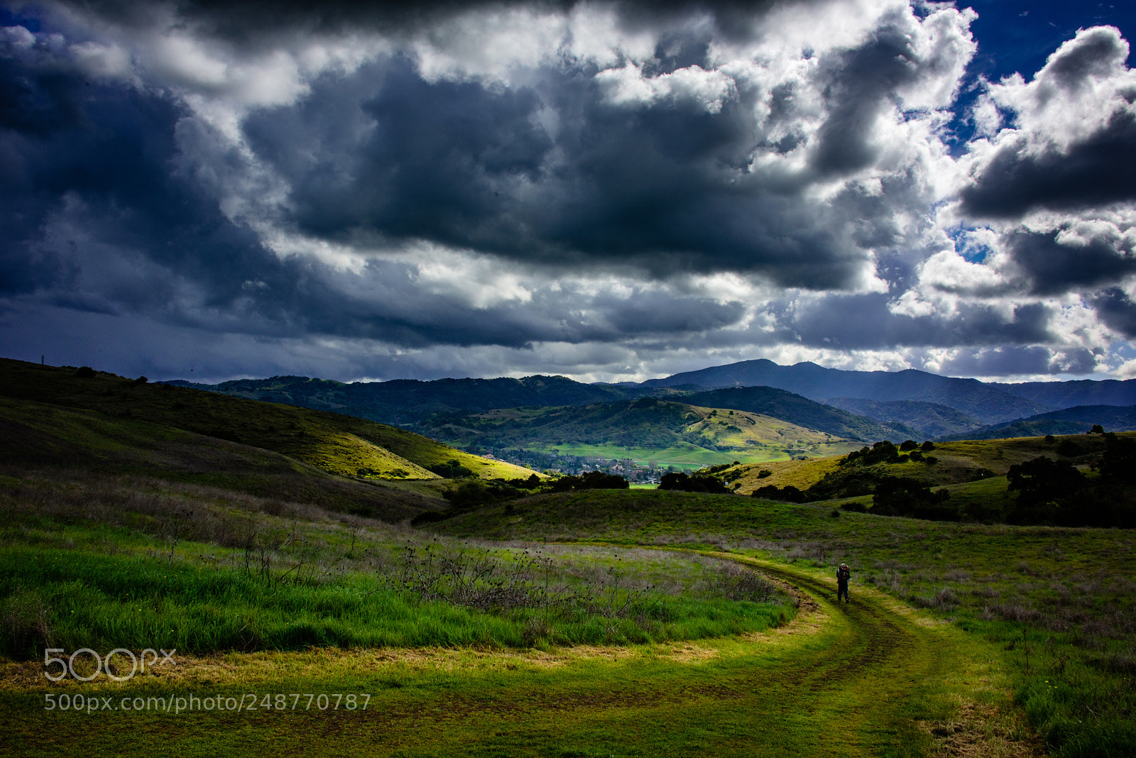 Nikon D810 sample photo. Early spring walk photography