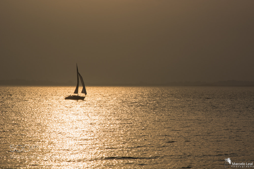 Nikon D7100 sample photo. Summer landscapes - birthday photography