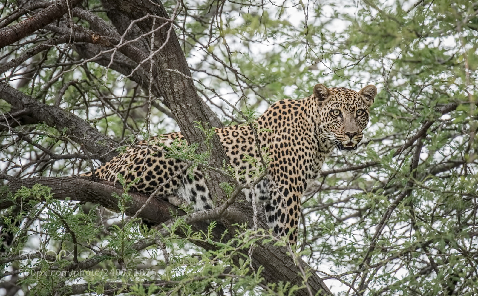 Nikon D810 sample photo. Edit photography