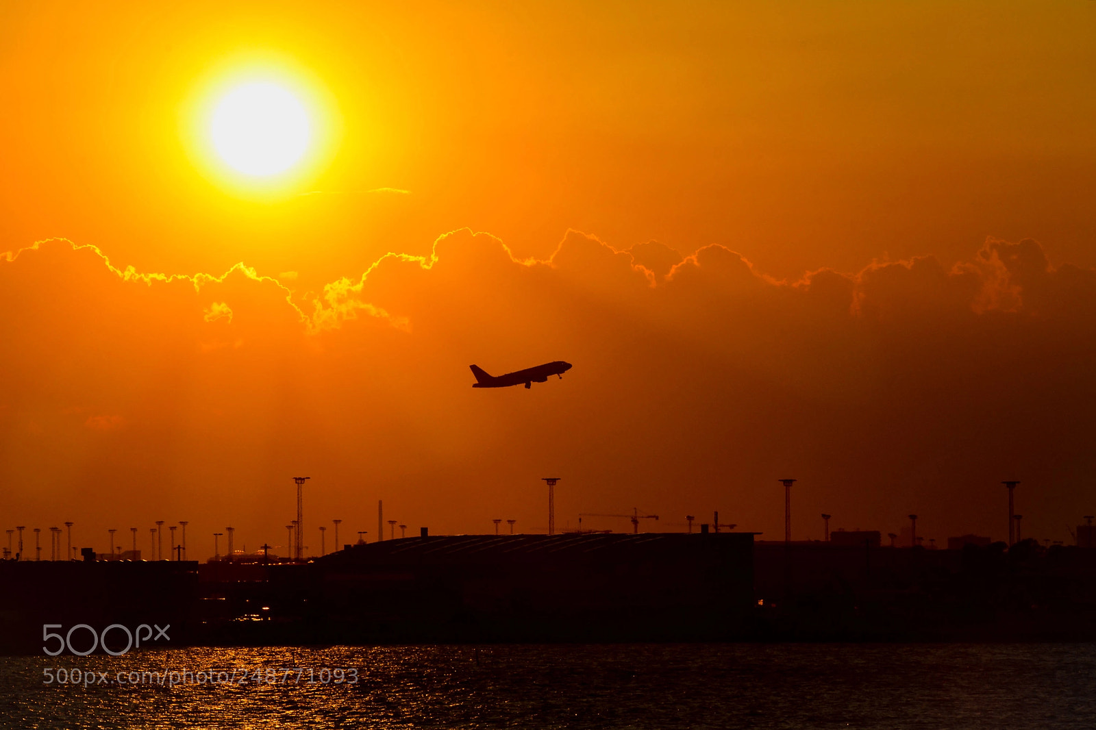 Nikon D7100 sample photo. Going up photography