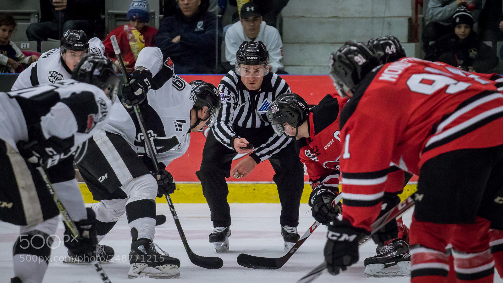 Canon EOS 80D sample photo. Hockey face off (2018) photography