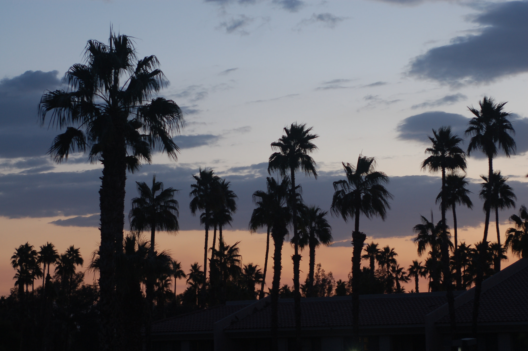 Nikon D50 + AF Zoom-Nikkor 35-70mm f/2.8D sample photo. Somewhere in palm springs photography