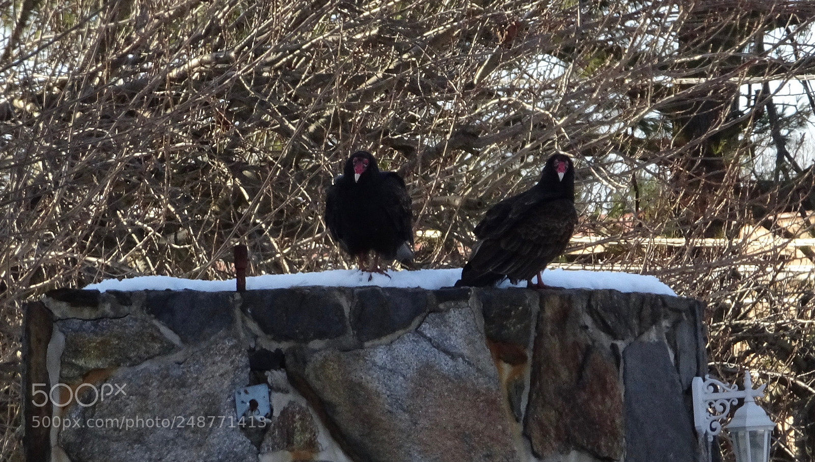 Sony Cyber-shot DSC-HX90V sample photo. I also saw a photography
