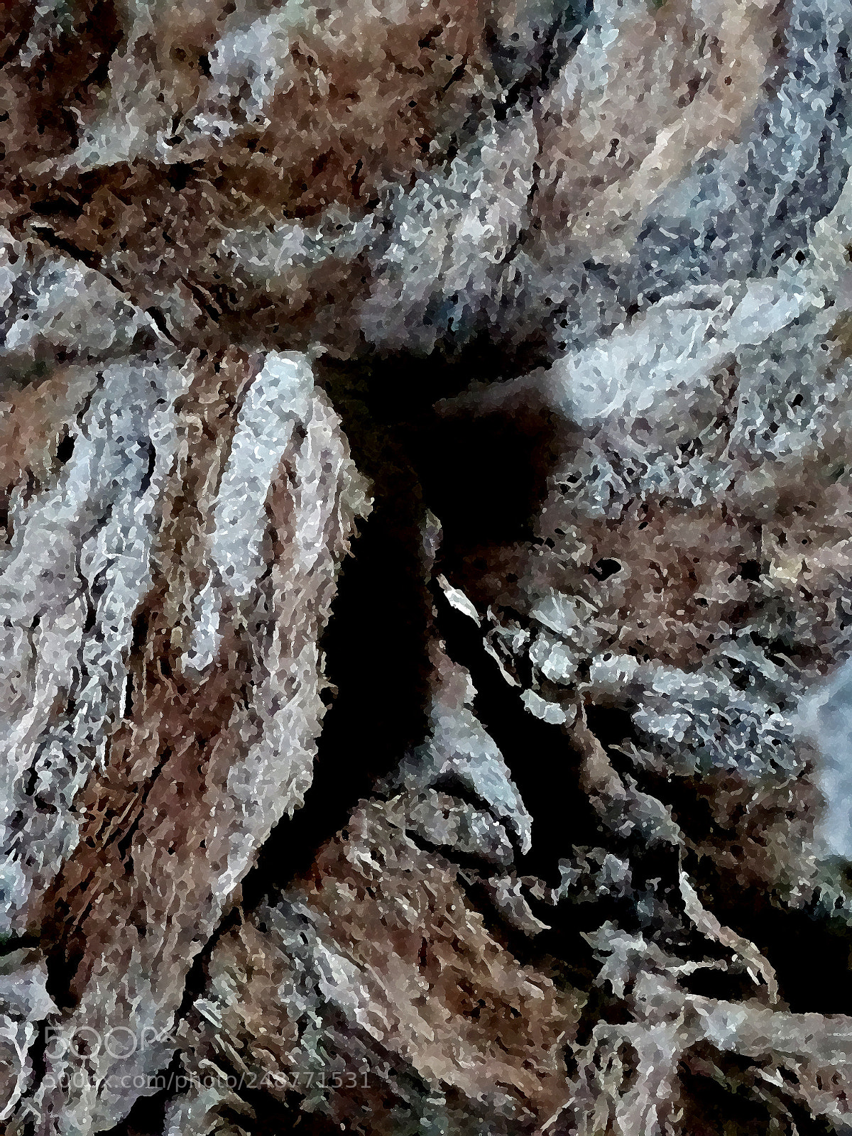 Samsung Galaxy S7 sample photo. Shell  1 photography