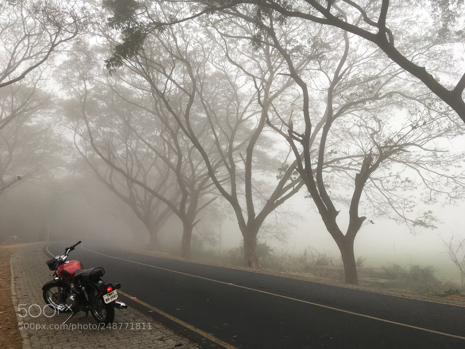 Apple iPhone SE sample photo. Royal enfield on foggy photography
