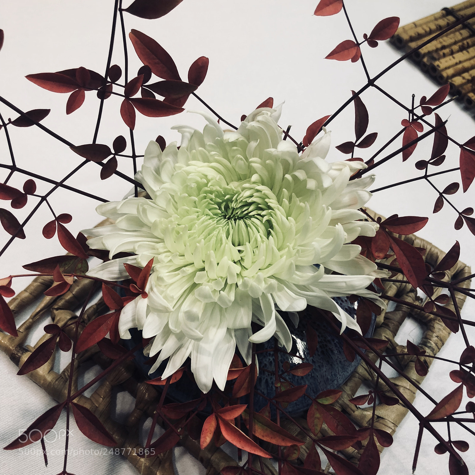 Apple iPhone 8 sample photo. Taken at the asian photography