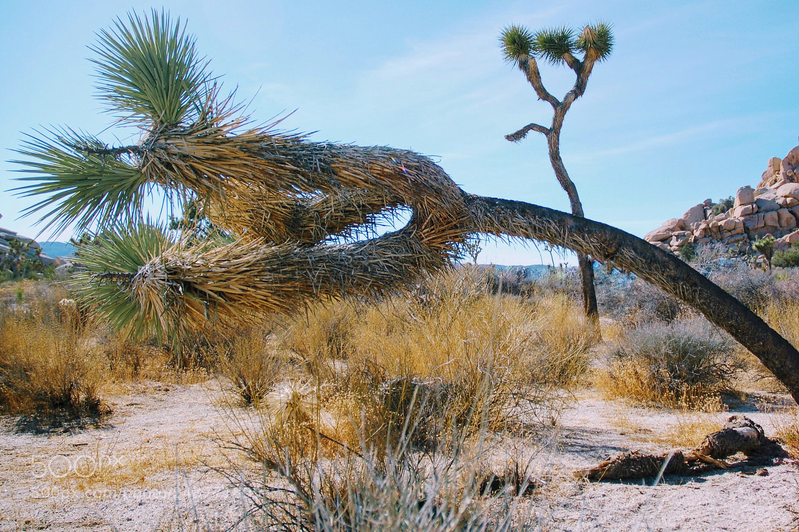 Nikon D50 sample photo. Untitled photography