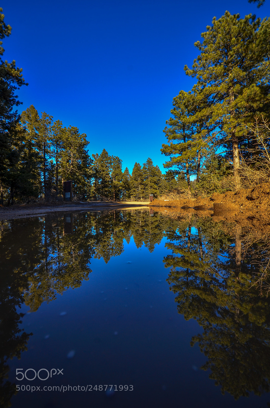 Nikon D7000 sample photo. Puddle reflection in the photography