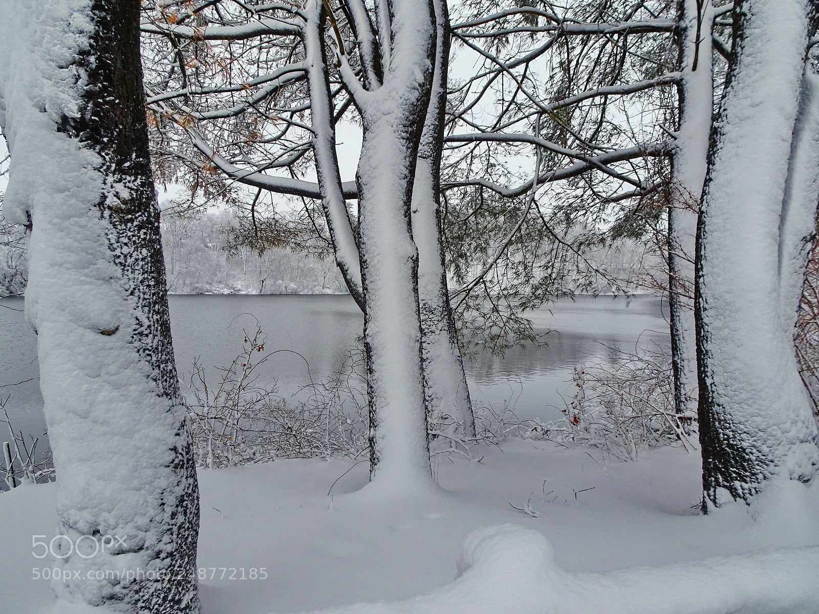 Sony Cyber-shot DSC-HX80 sample photo. Snowfall in march photography