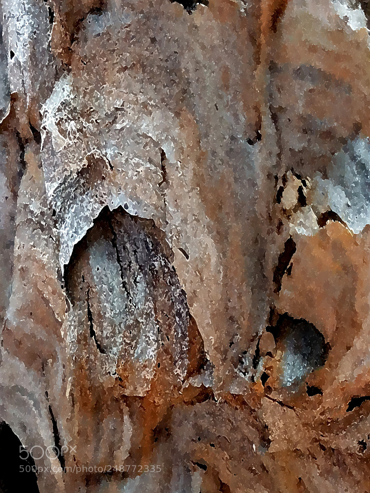 Samsung Galaxy S7 sample photo. Shell 3 photography