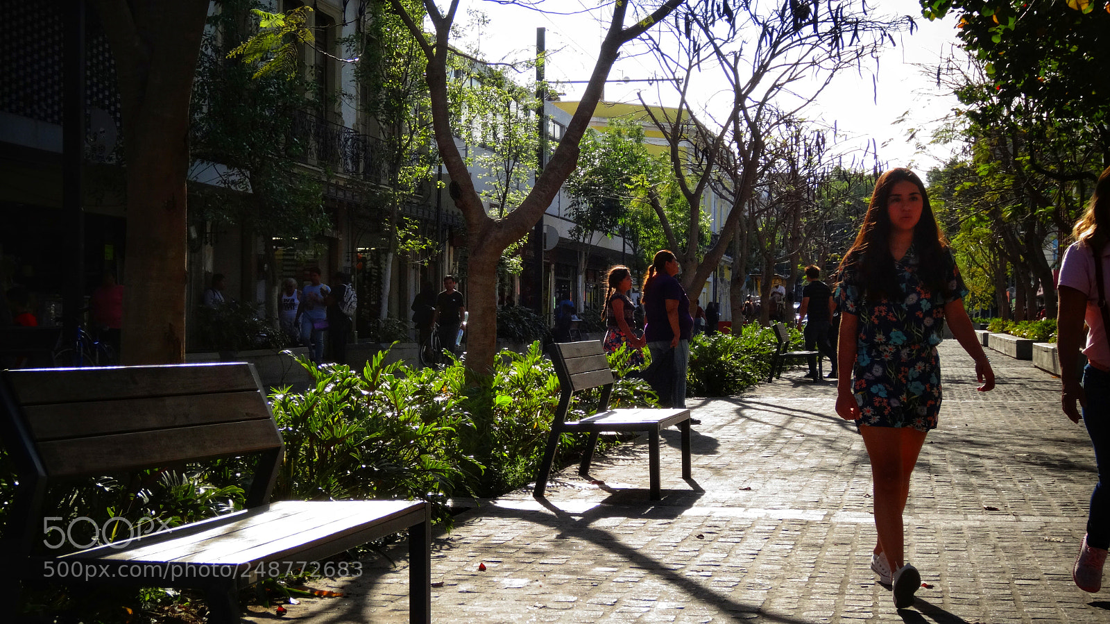 Sony Cyber-shot DSC-HX20V sample photo. Step to step photography