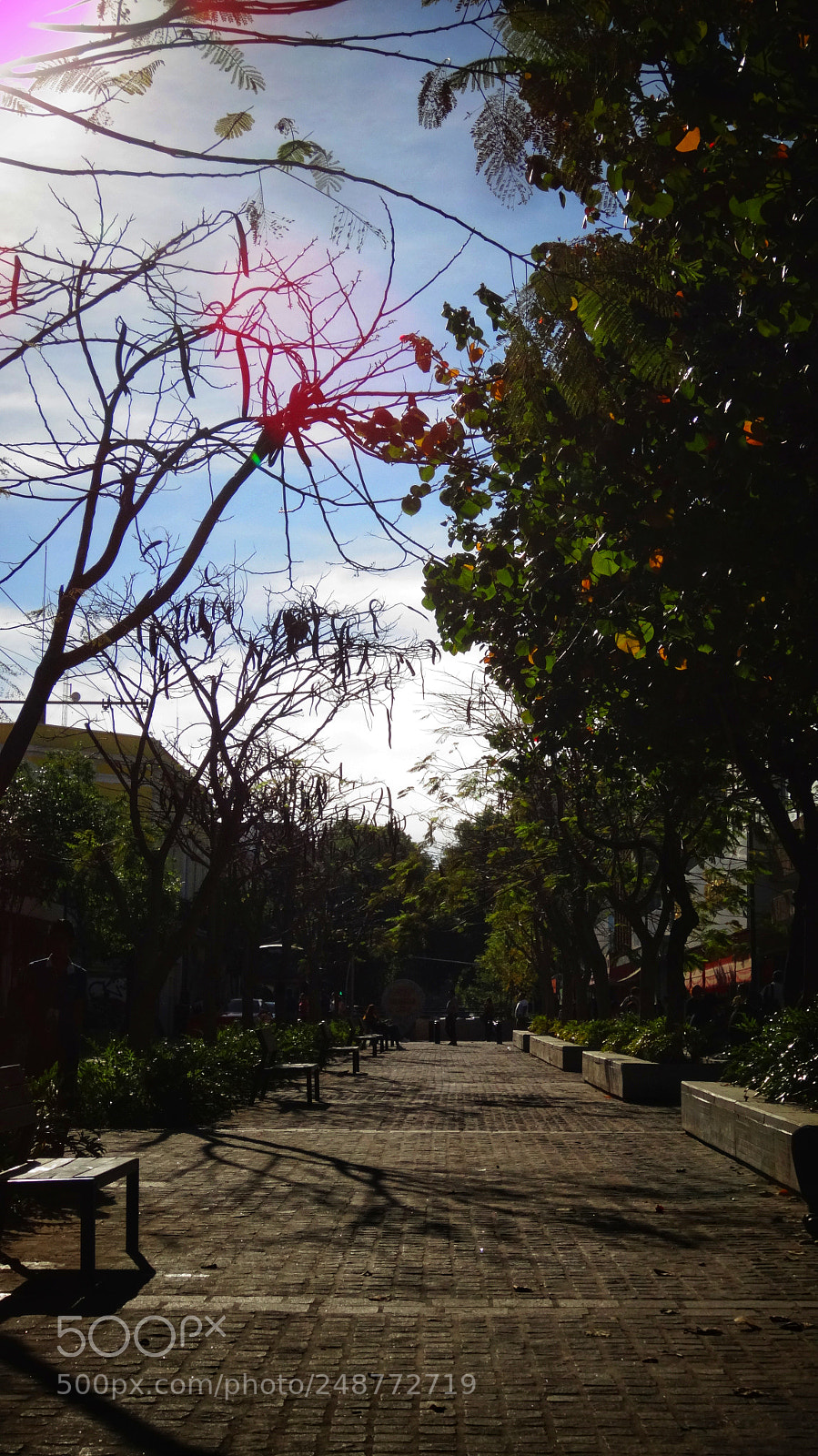 Sony Cyber-shot DSC-HX20V sample photo. :v photography