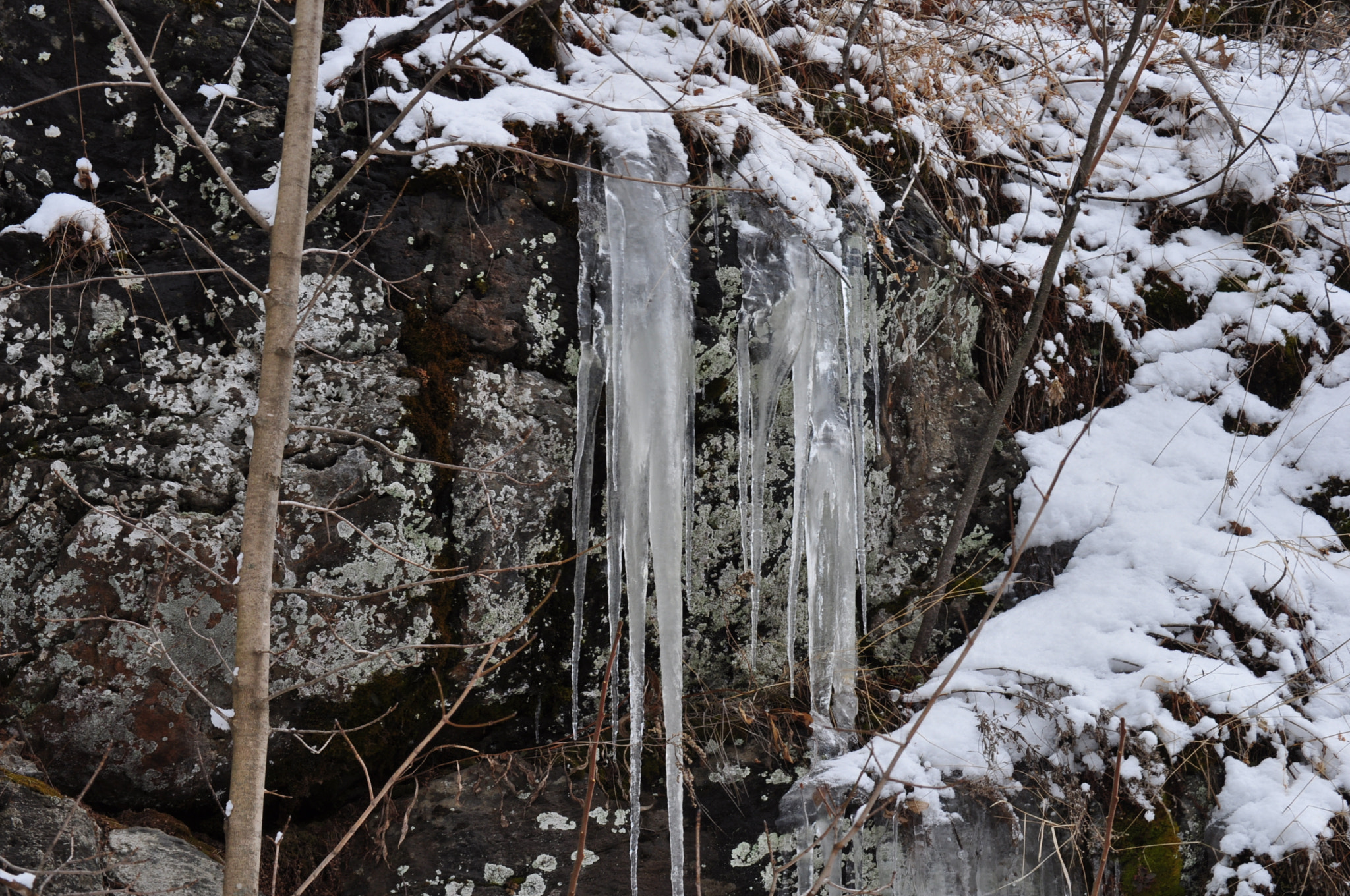 Nikon D5000 sample photo. Slippery slope photography