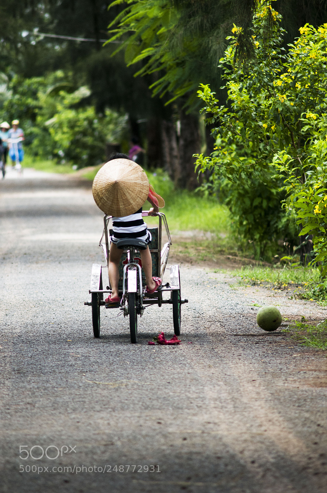 Nikon D300S sample photo. The kid photography