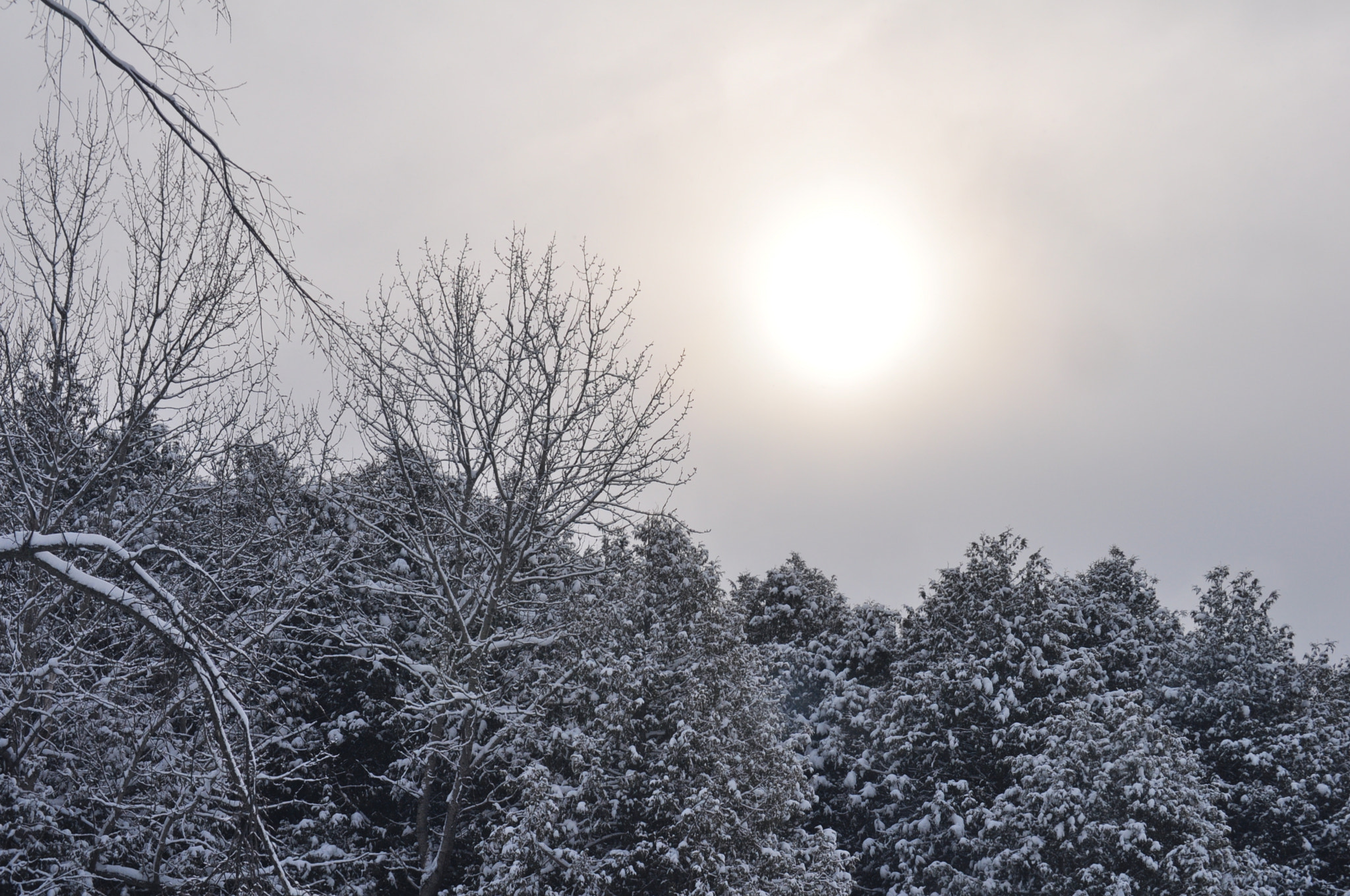 Nikon D5000 sample photo. Chilly sunrise photography
