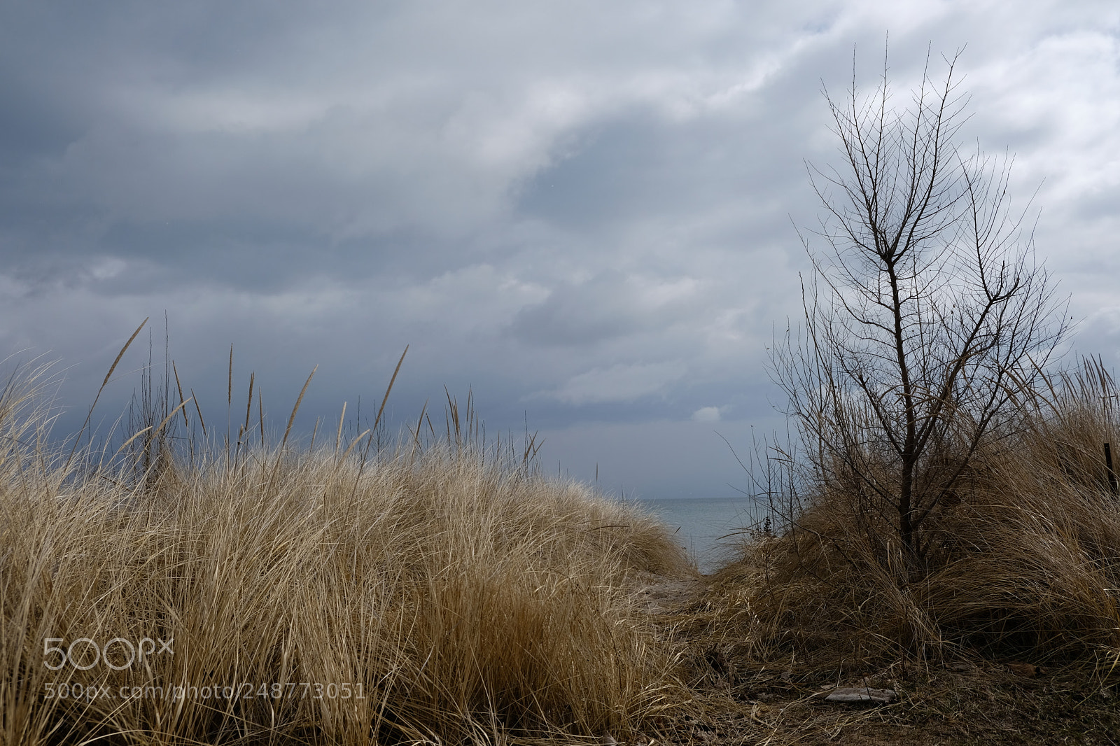 Fujifilm X-T20 sample photo. Untitled shoot photography