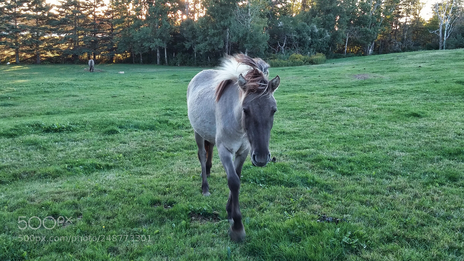 LG G3 sample photo. Untitled photography