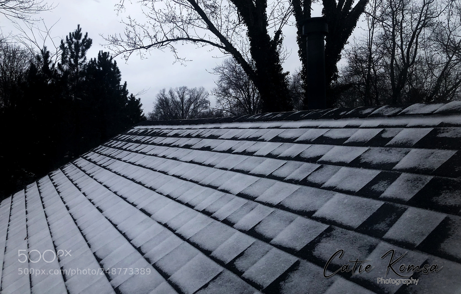 Apple iPhone 8 sample photo. Snowy morning photography