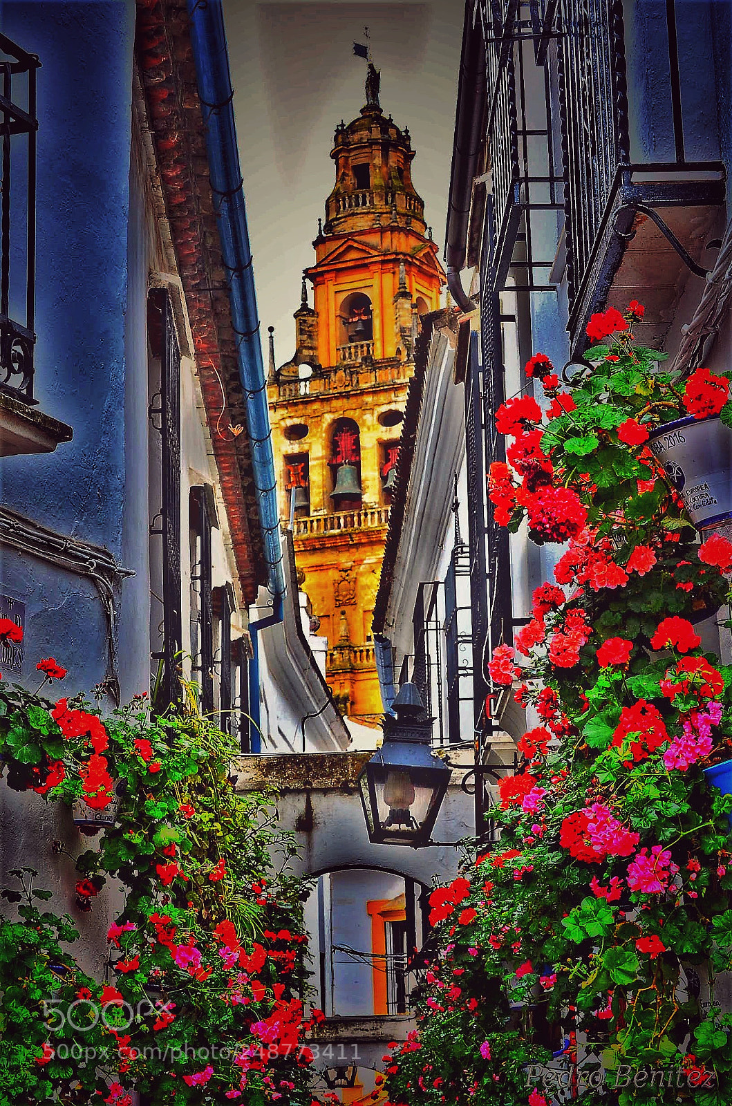 Nikon D5100 sample photo. Callejón photography