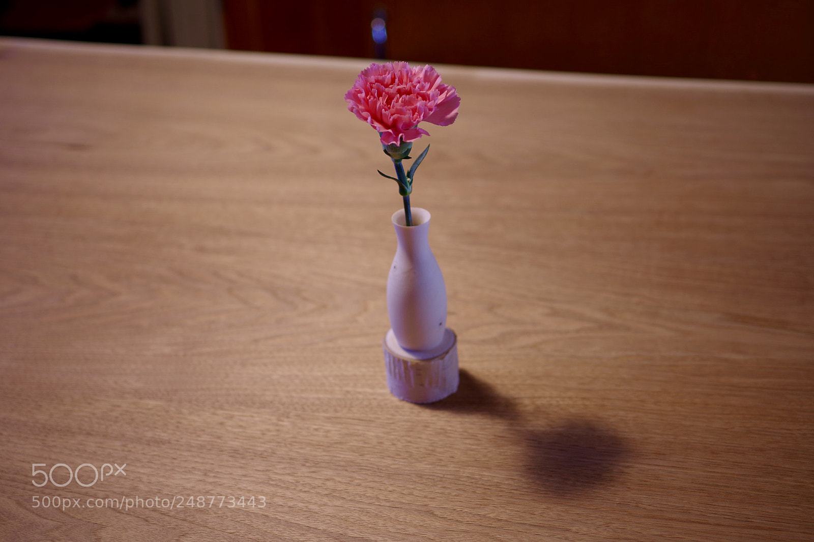 Pentax K-30 sample photo. Flower and wood photography