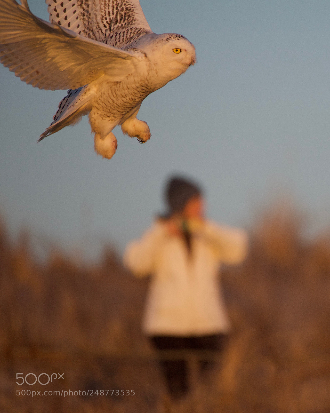 Nikon D810 sample photo. Untitled photography