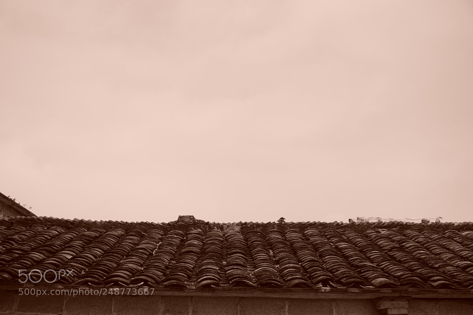 Sony a5100 sample photo. Tile - roofed photography