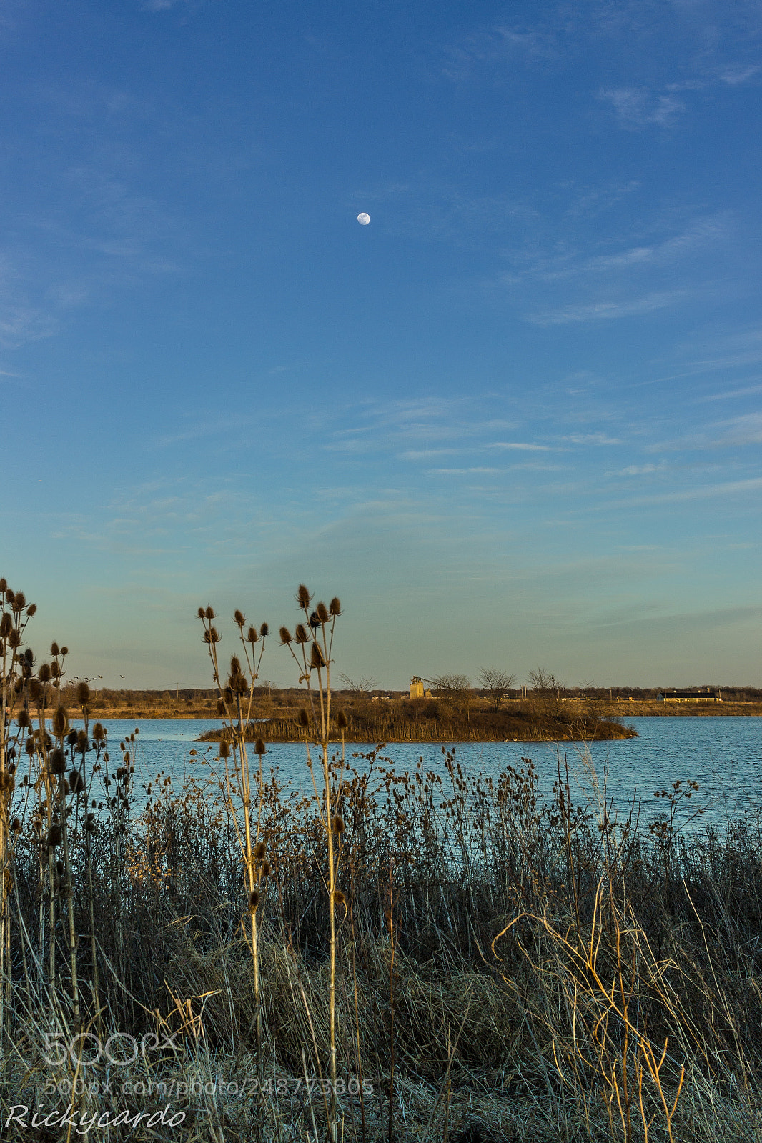 Canon EOS 600D (Rebel EOS T3i / EOS Kiss X5) sample photo. Moonrise photography