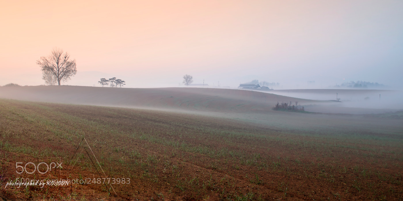 Nikon D800 sample photo. 184 photography