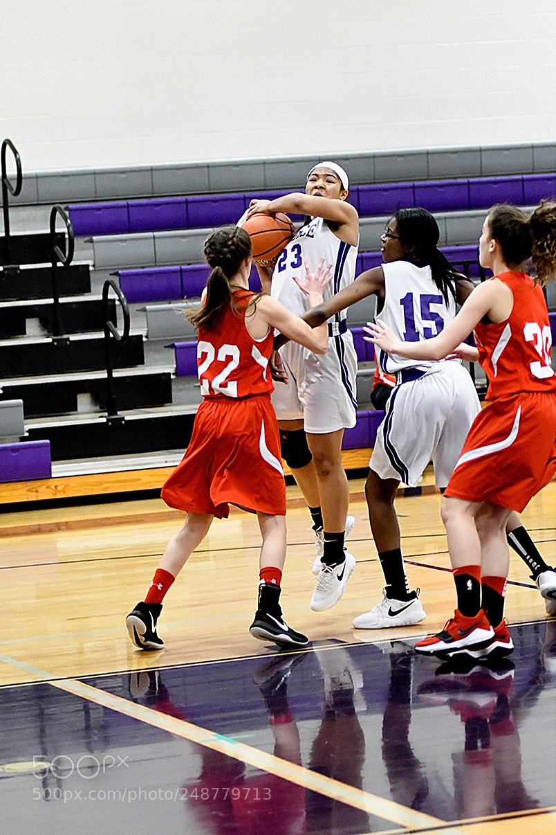 Nikon D500 sample photo. 3-5__0143.jpg photography