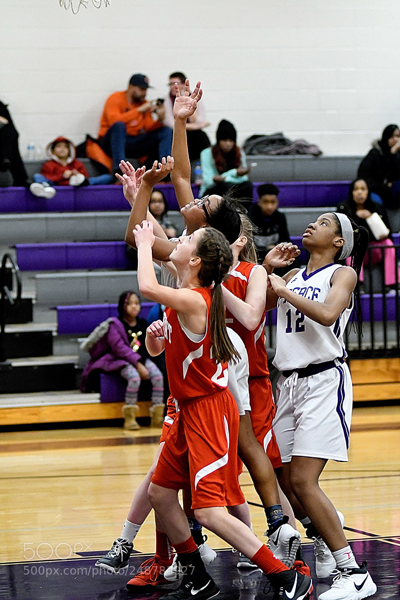 Nikon D500 sample photo. 3-5__0335.jpg photography
