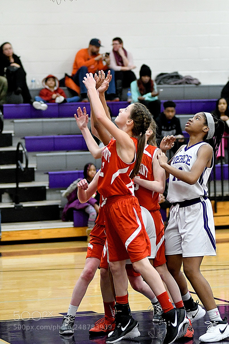 Nikon D500 sample photo. 3-5__0336.jpg photography