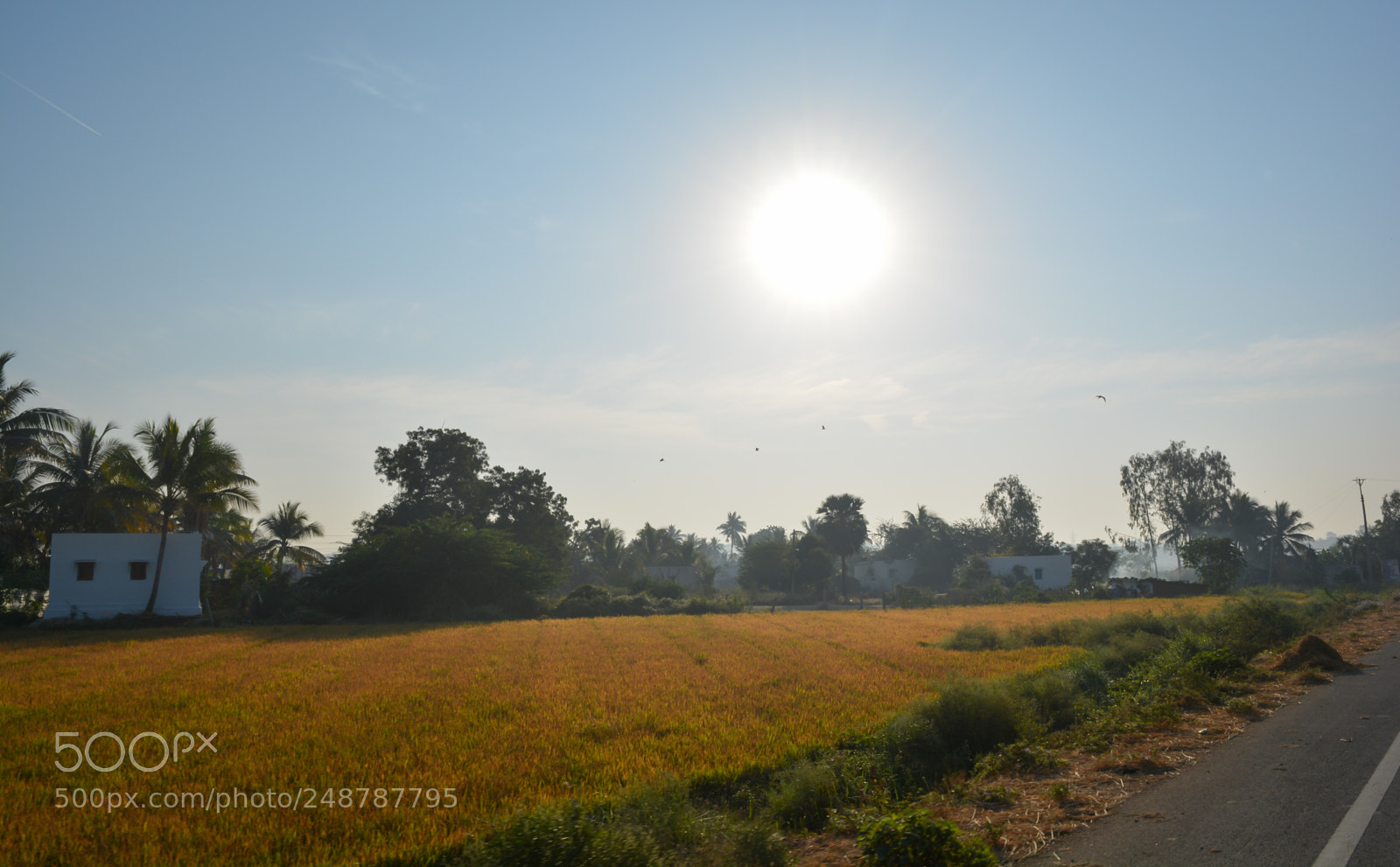 Nikon D5200 sample photo. Sunrise near village photography