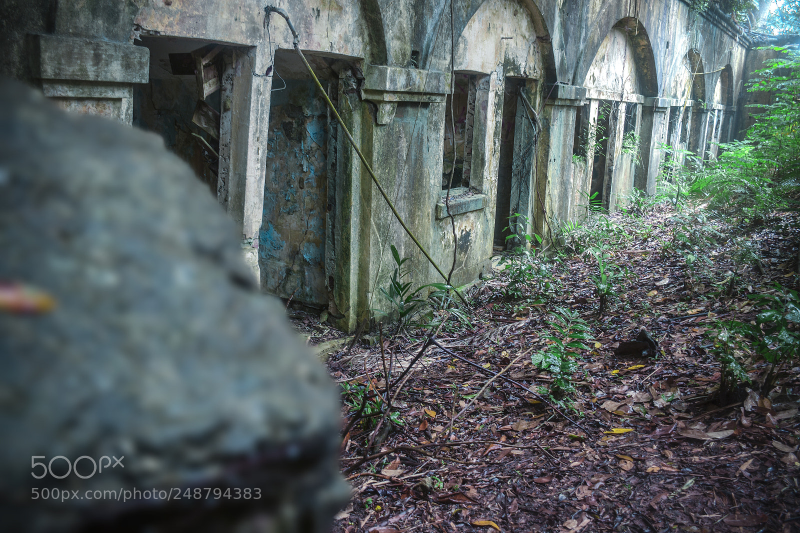 Nikon D7200 sample photo. Fort serapong singapore photography