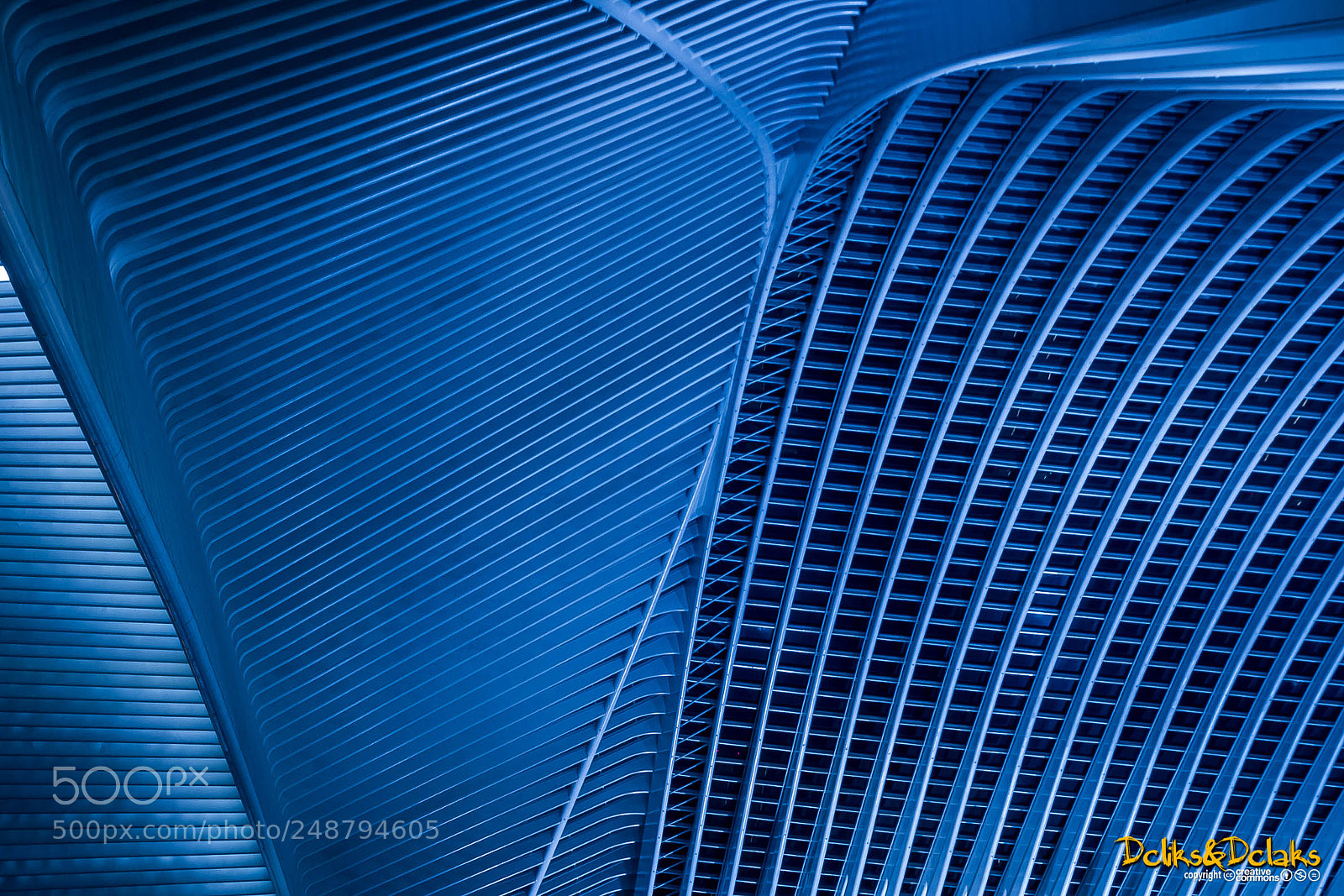 Canon EOS 7D sample photo. Blue photography