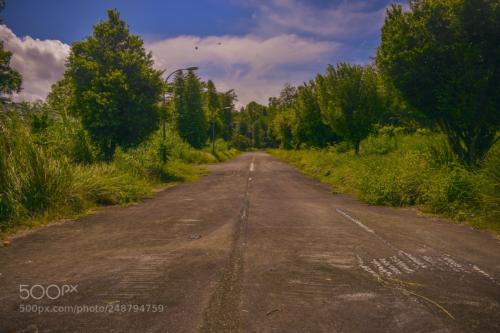 Nikon D7200 sample photo. An abandoned road in photography