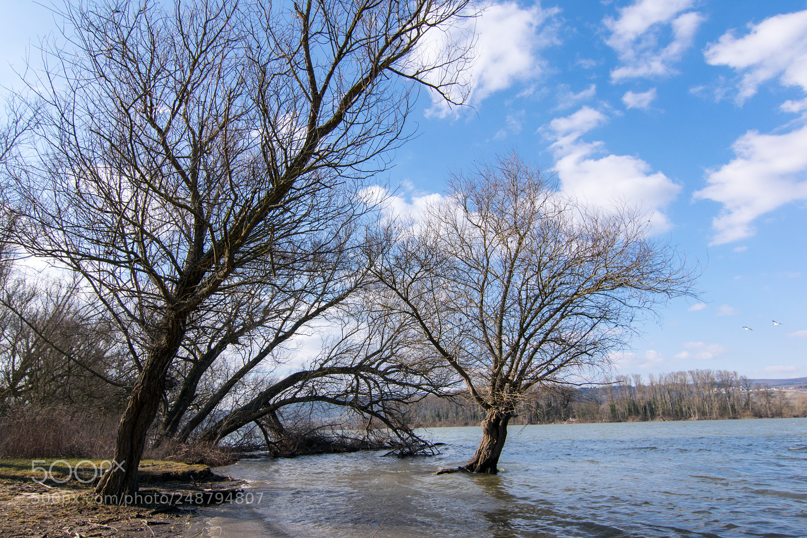 Nikon D5300 sample photo. River shore photography