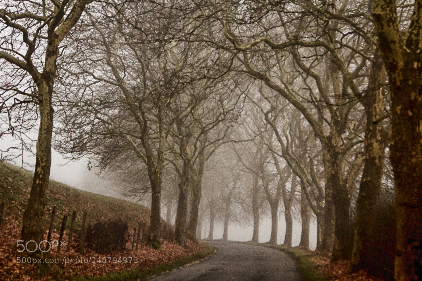 Canon EOS 60D sample photo. Vieille route photography