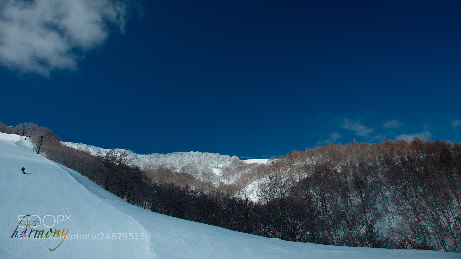 Canon EOS 5DS sample photo. Powder snow of resort photography