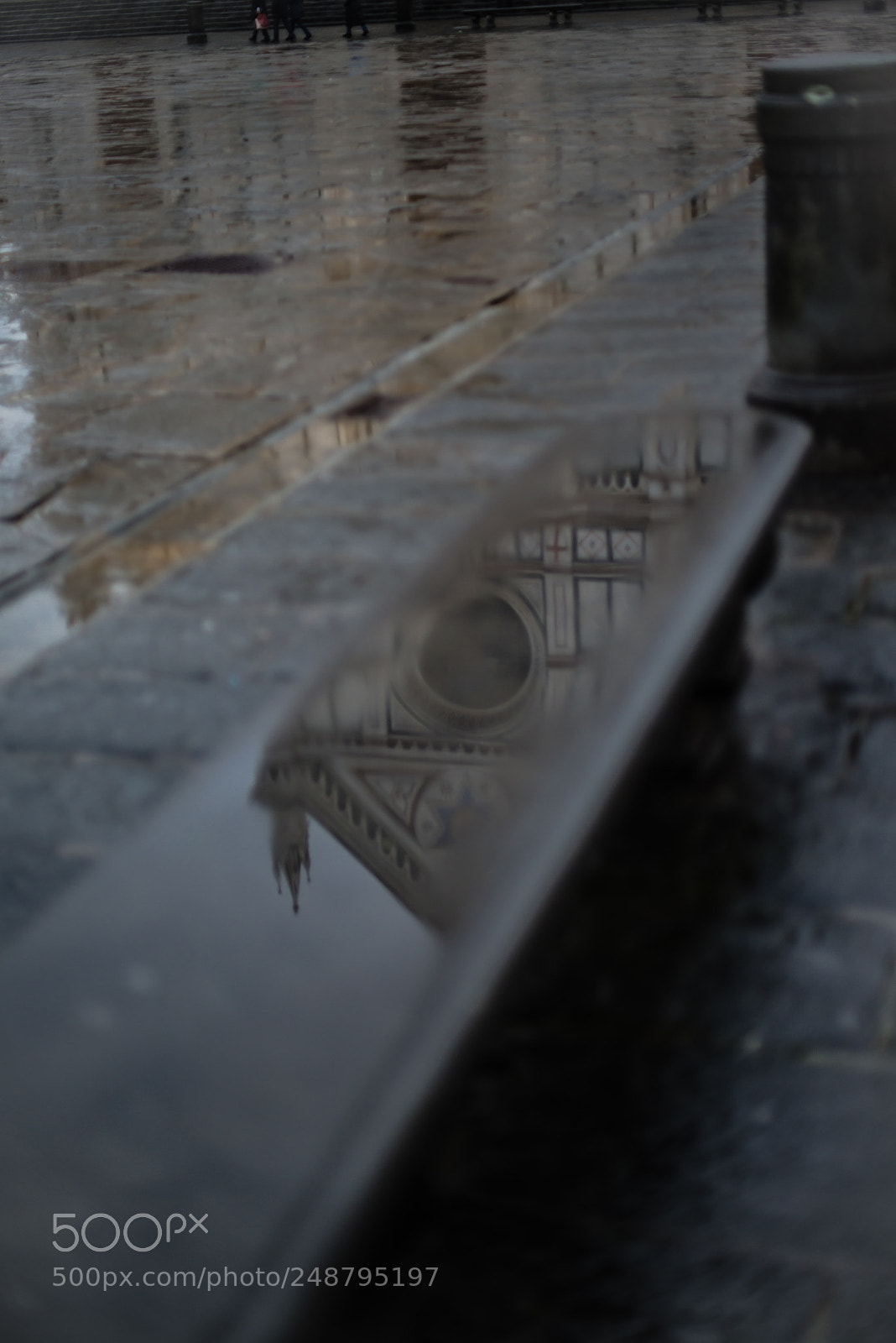 Nikon D800 sample photo. Peekaboo photography