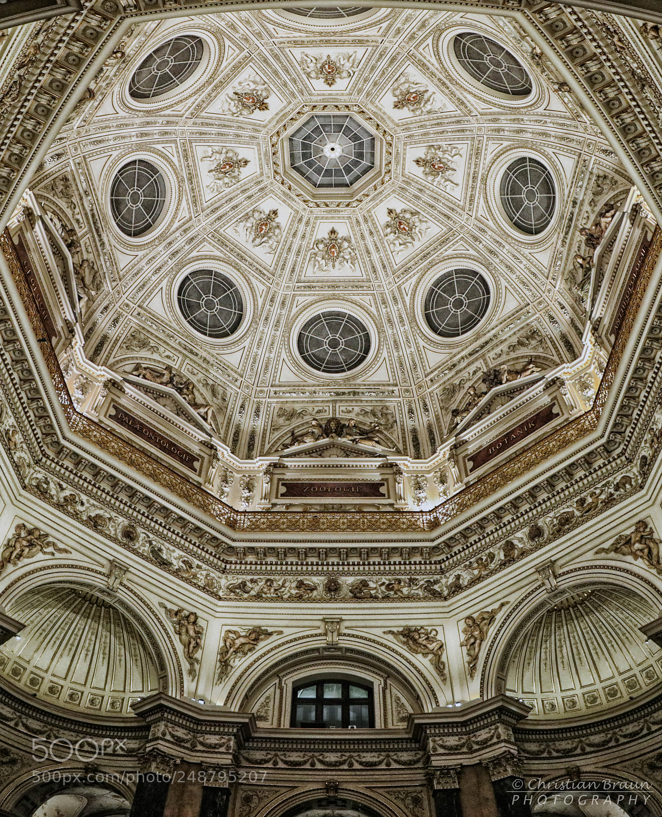 Canon EOS 80D sample photo. Natural history museum photography