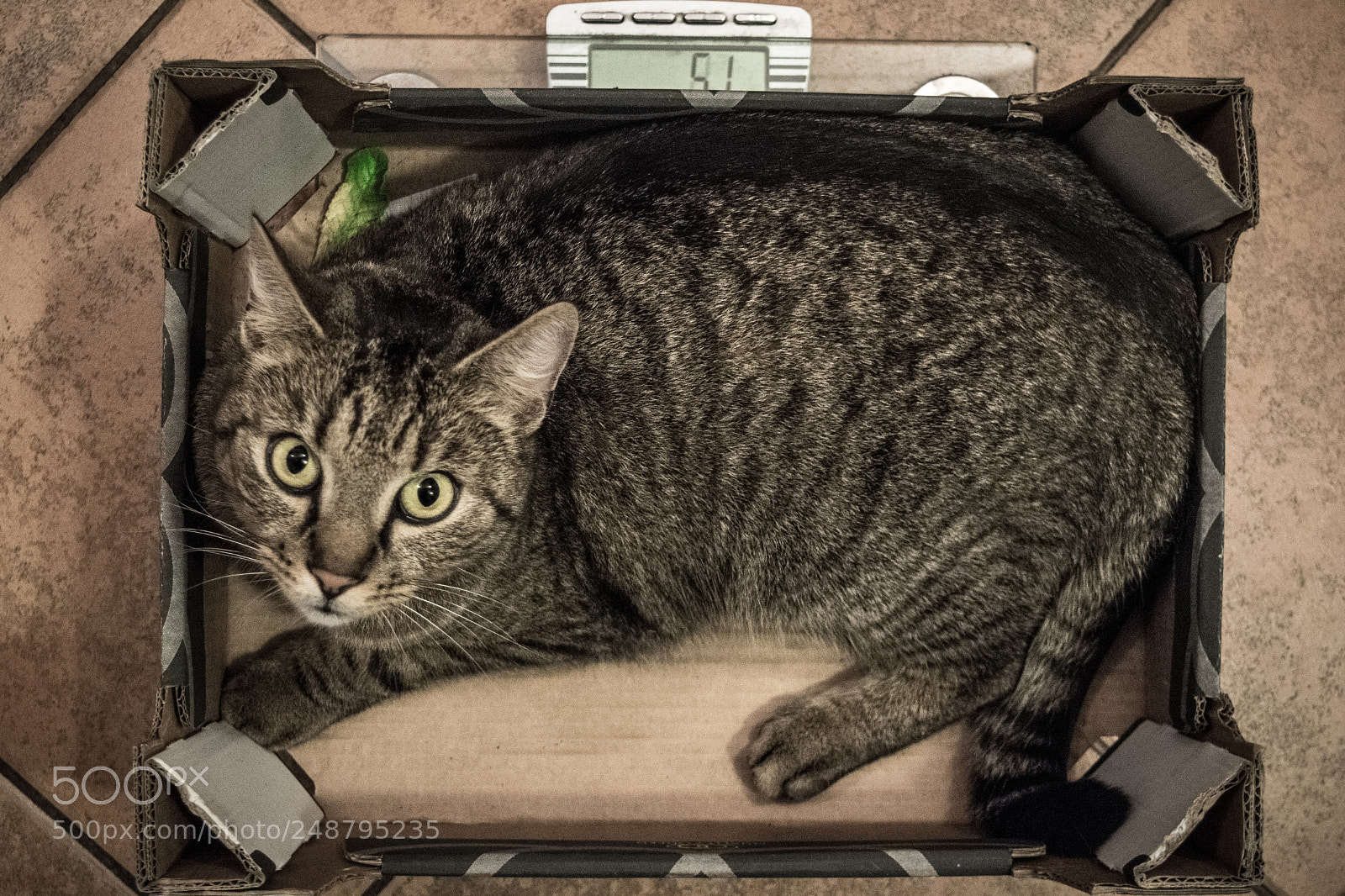 Nikon D3300 sample photo. Arthur photography