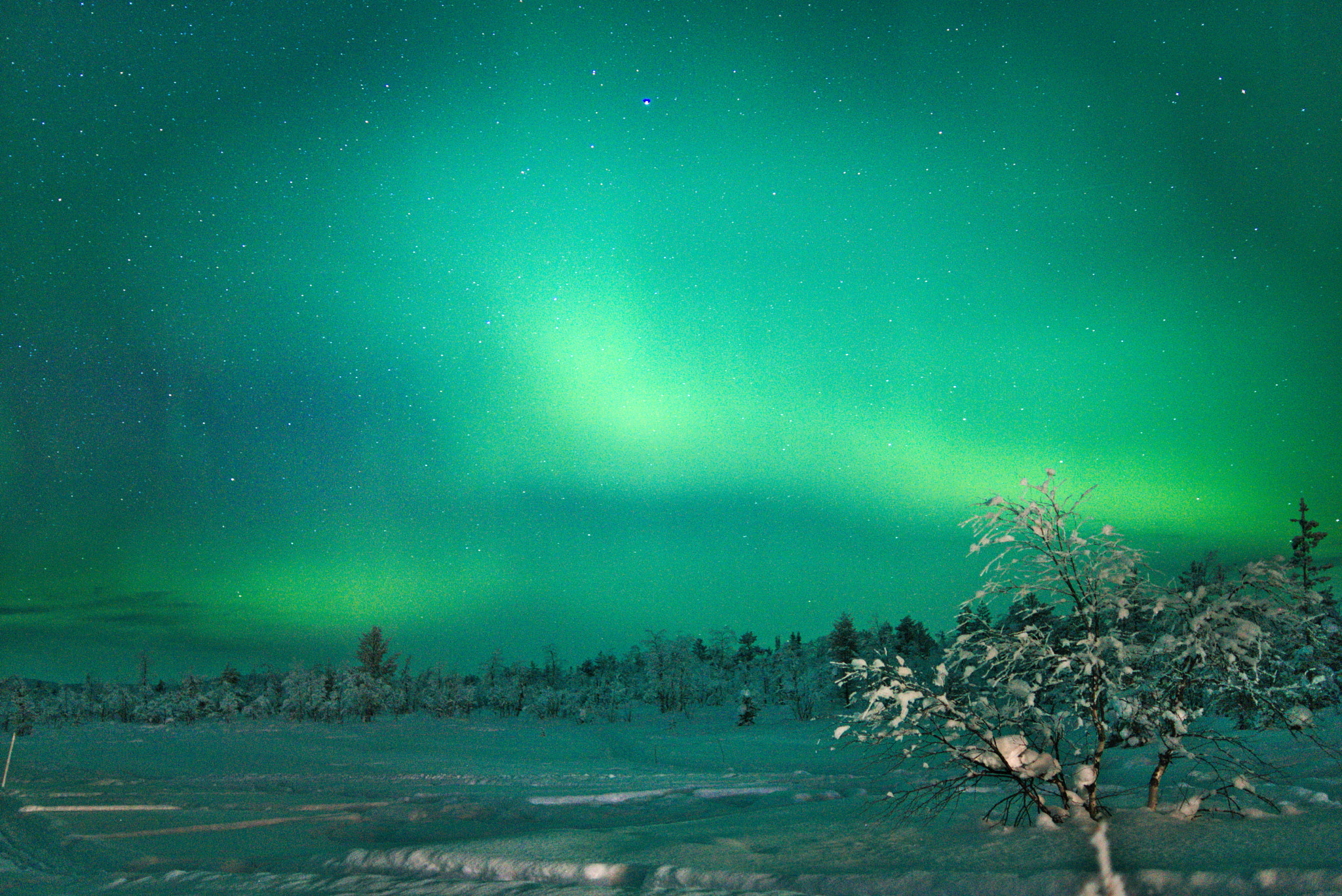 Sony ILCA-77M2 sample photo. Northern lights photography