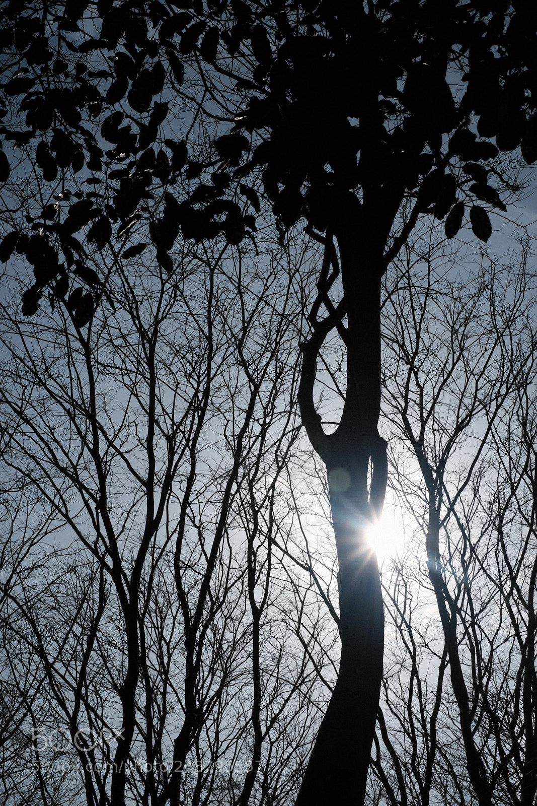 Fujifilm X-T20 sample photo. Morning sunlight photography