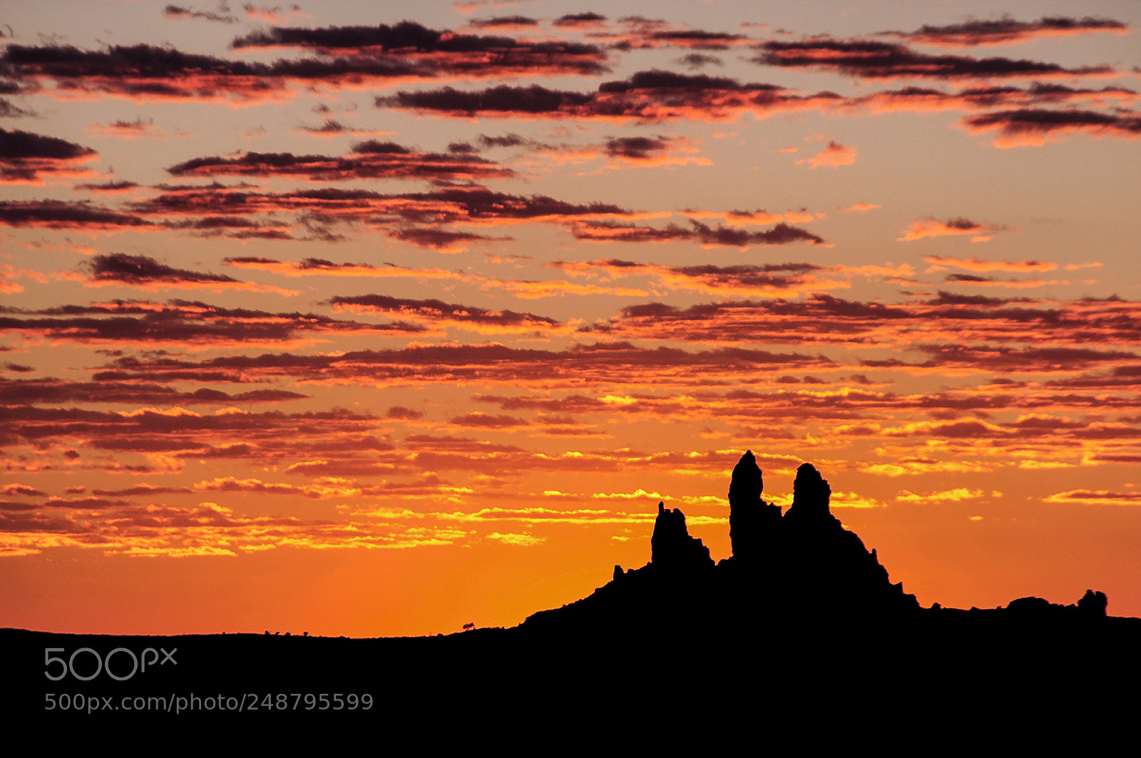 Nikon D300 sample photo. Three wolves at sunrise photography
