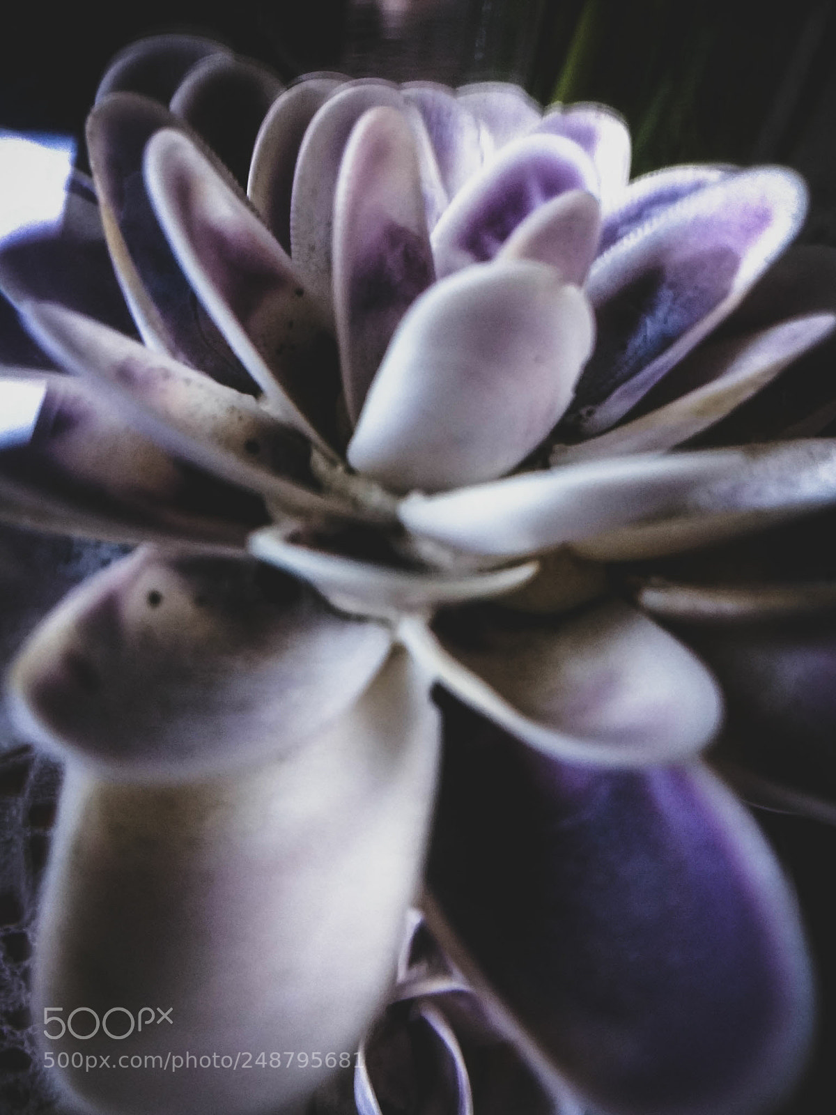 Motorola Moto G (4) sample photo. Vintage photography