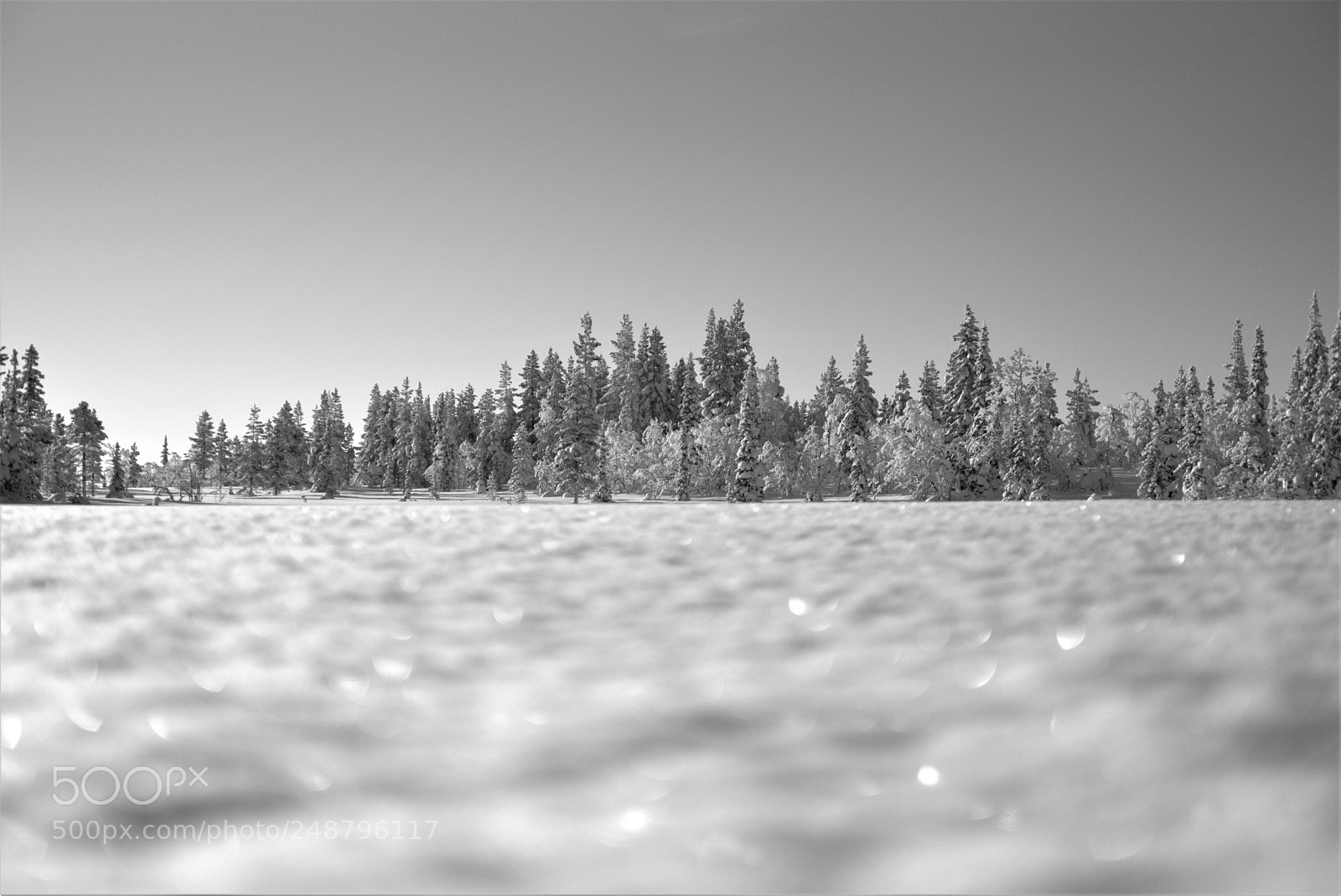Sony ILCA-77M2 sample photo. Skyline photography