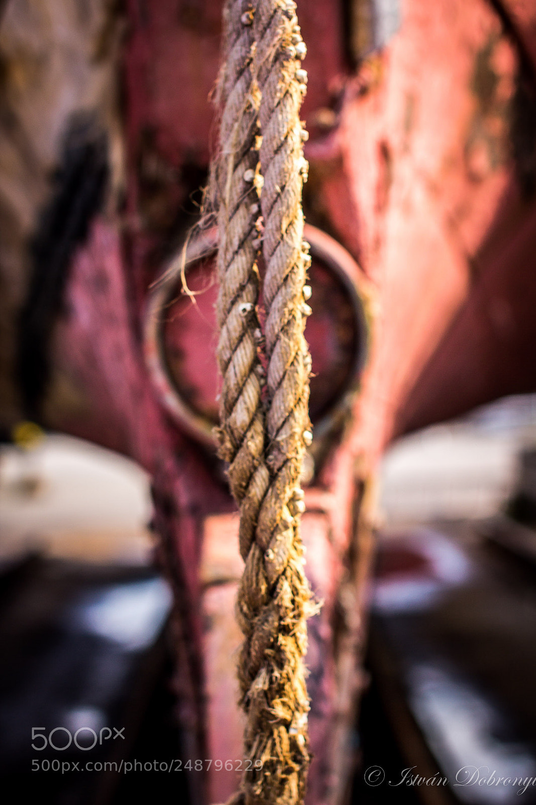 Canon EOS 60D sample photo. Gilleleje photography