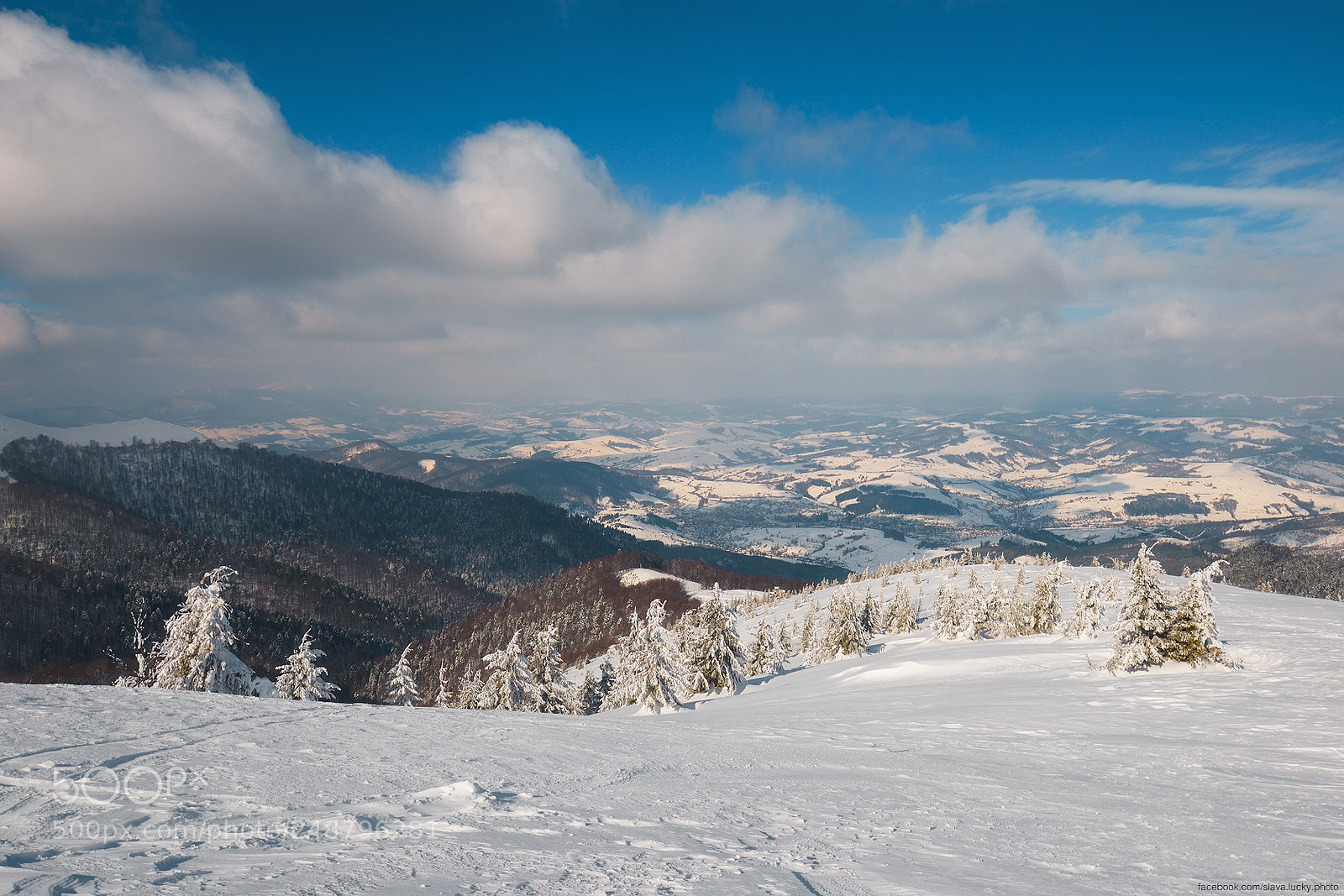 Nikon D610 sample photo. *** photography
