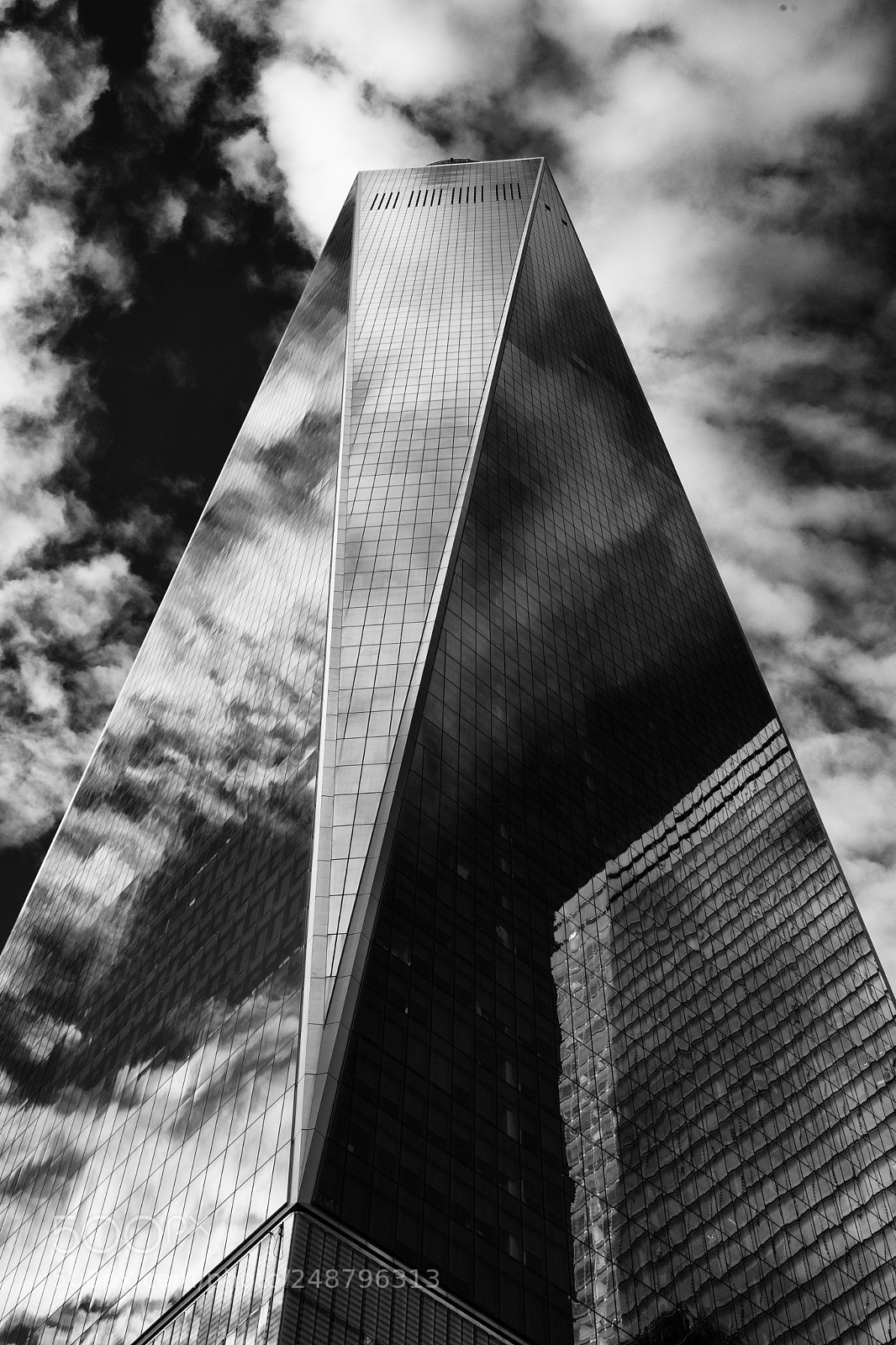 Fujifilm X-T20 sample photo. Freedom photography